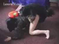Fluffy doggy gratifying his slavemaster